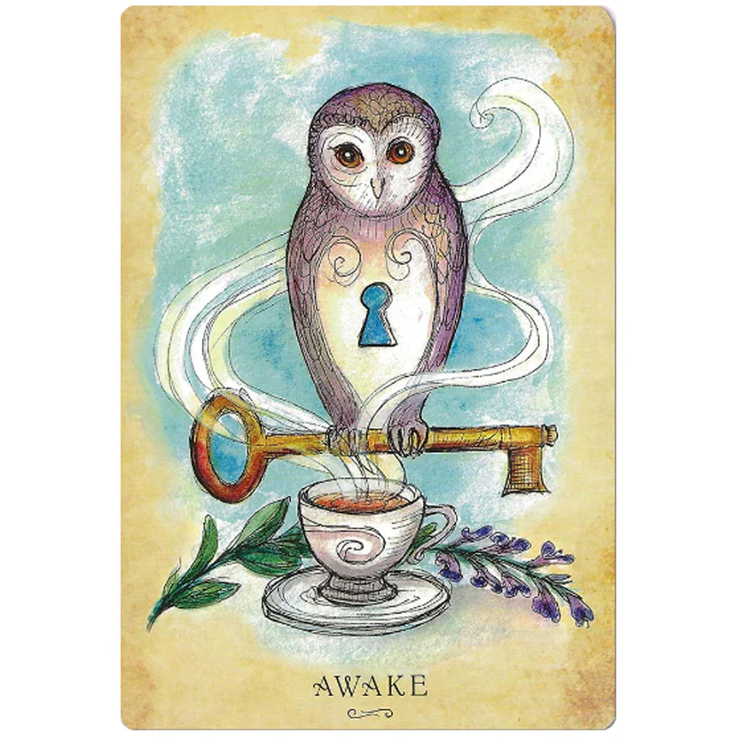 Anatomy of a Witch Oracle Cards